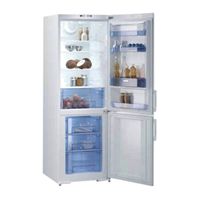 Gorenje NRK 62321 W