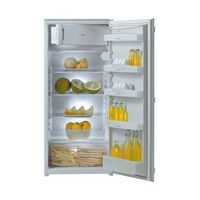 Gorenje RI 2142 LA