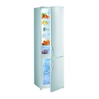 Gorenje RK 45295 W