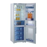 Gorenje RK 61341 C