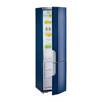 Gorenje RK 62391 B