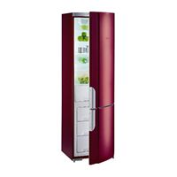 Gorenje RK 62391 R