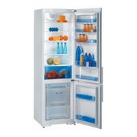 Gorenje RK 63393 W