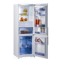 Gorenje RK 65324 E