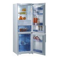 Gorenje RK 65325 W