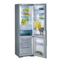 Gorenje RK 65364 E