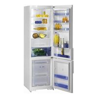 Gorenje RK 67365 W