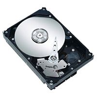 Seagate ST3160815AS