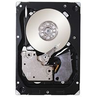 Seagate ST3300656SS