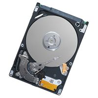 Seagate ST9160310AS