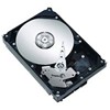 Seagate ST3160813AS