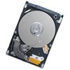 Seagate ST9250421AS
