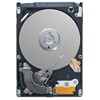 Seagate ST980813AS
